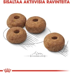 Royal Canin Koiranruoat Erityistapeisiin|Koiran Kuivaruoka*Medium Sterilised