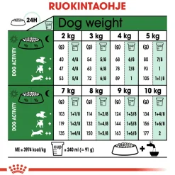 Royal Canin Koiran Kuivaruoka|Senioriruoka*Mini Adult 8+