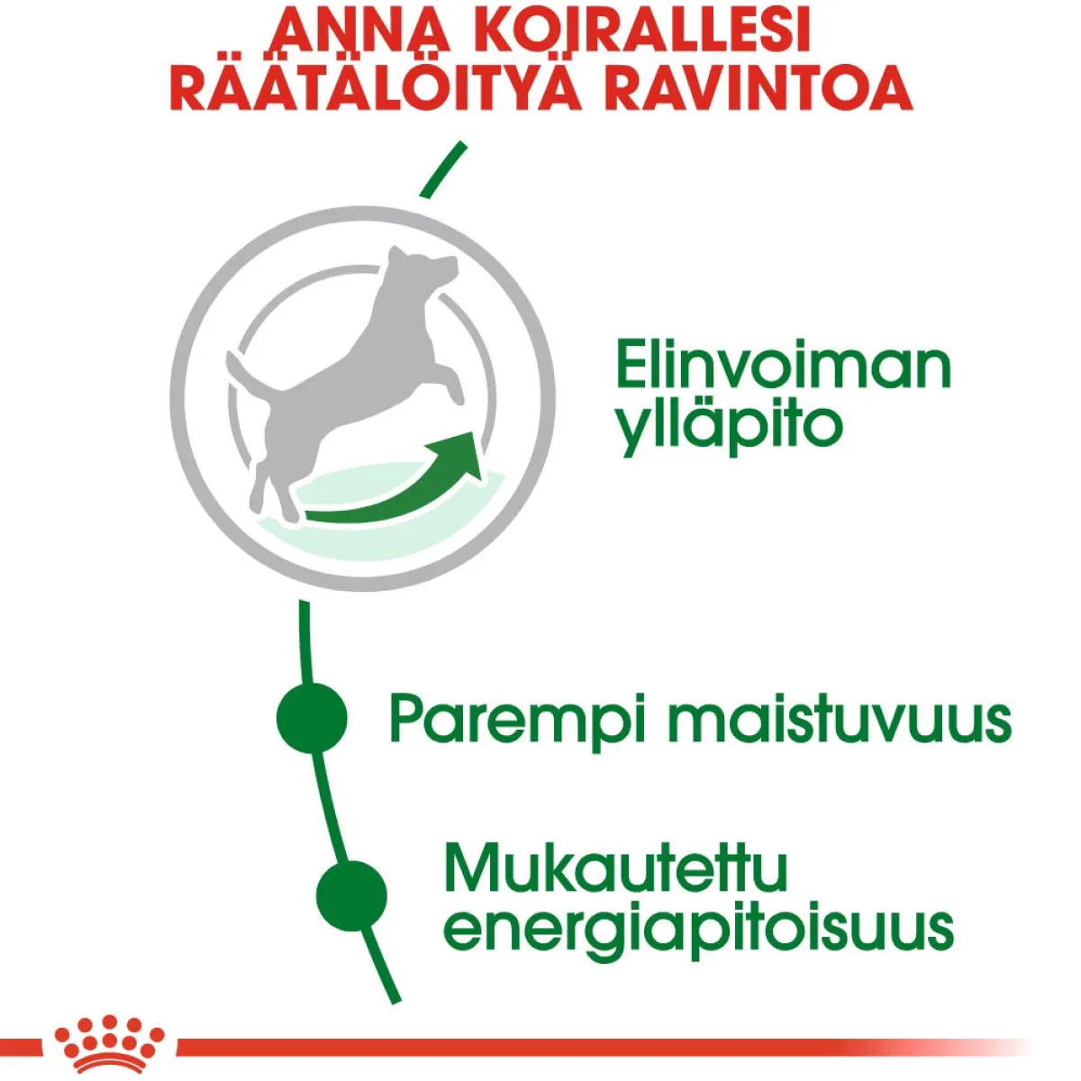 Royal Canin Koiran Kuivaruoka|Senioriruoka*Mini Adult 8+