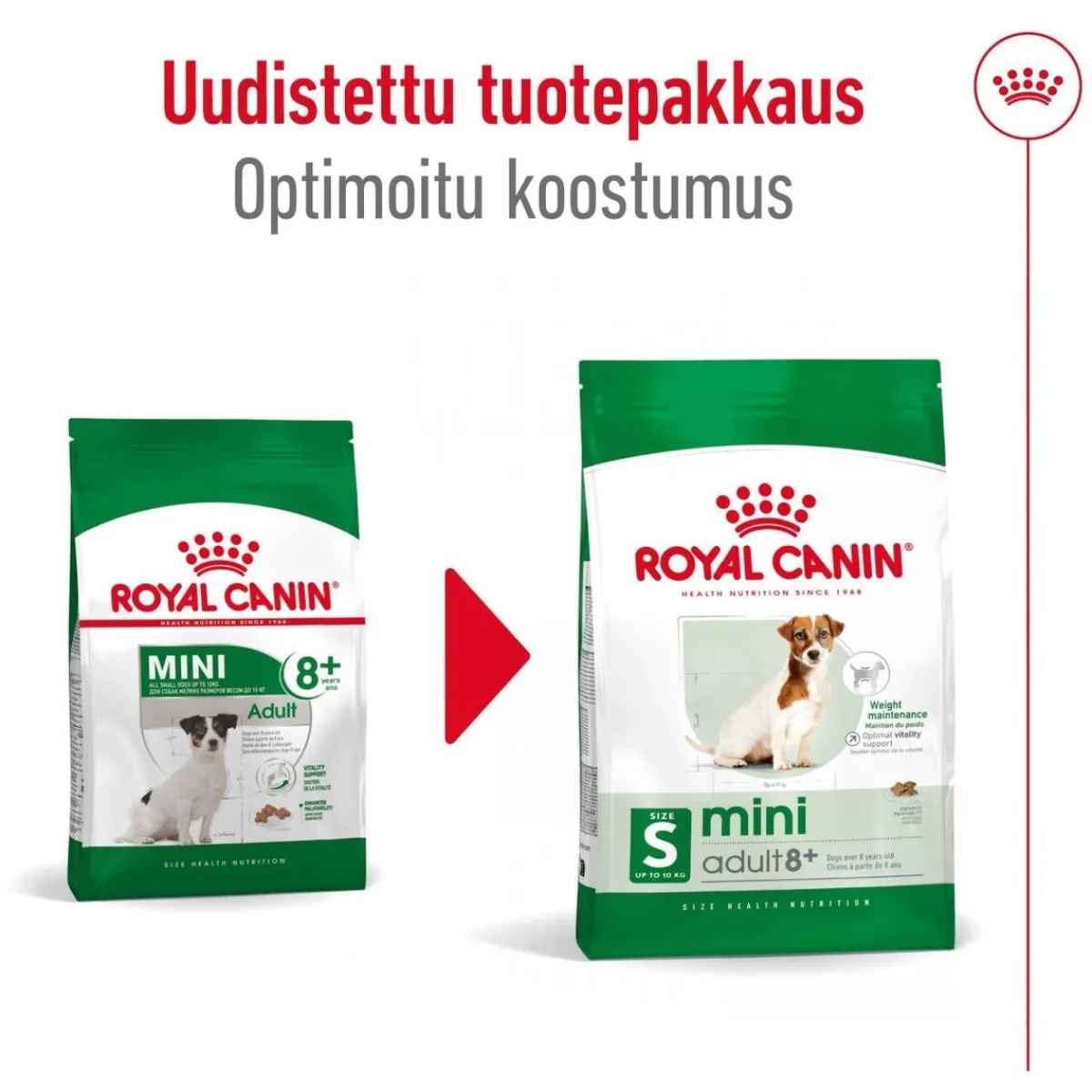 Royal Canin Koiran Kuivaruoka|Senioriruoka*Mini Adult 8+