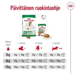 Royal Canin Koiran Kuivaruoka|Senioriruoka*Mini Adult 8+