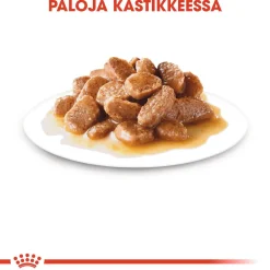 Royal Canin Koiran Märkäruoka Ja Makkarat*Mini Adult Wet 12 x 85 g