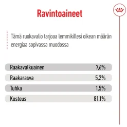 Royal Canin Koiran Märkäruoka Ja Makkarat*Mini Adult 48 x 85 g