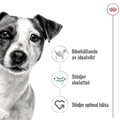 Royal Canin Koiran Märkäruoka Ja Makkarat*Mini Adult 48 x 85 g