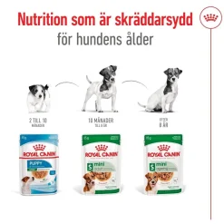 Royal Canin Koiran Märkäruoka Ja Makkarat*Mini Adult 48 x 85 g