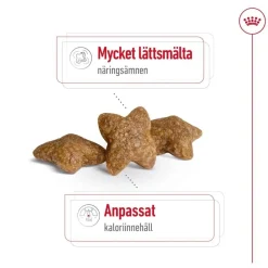 Royal Canin Koiran Kuivaruoka*Mini Adult 2 x 8 kg