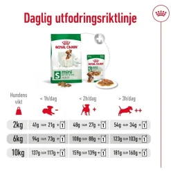 Royal Canin Koiran Kuivaruoka*Mini Adult 2 x 8 kg