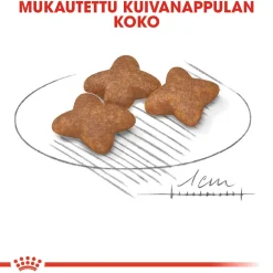 Royal Canin Koiran Kuivaruoka*Mini Adult 2 x 8 kg