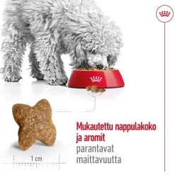 Royal Canin Koiran Kuivaruoka*Mini Adult 2 x 8 kg