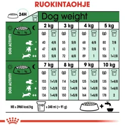 Royal Canin Koiran Kuivaruoka*Mini Adult 2 x 8 kg
