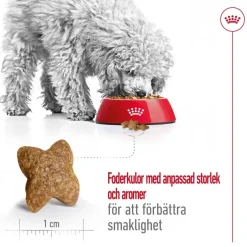 Royal Canin Koiran Kuivaruoka*Mini Adult 2 x 8 kg