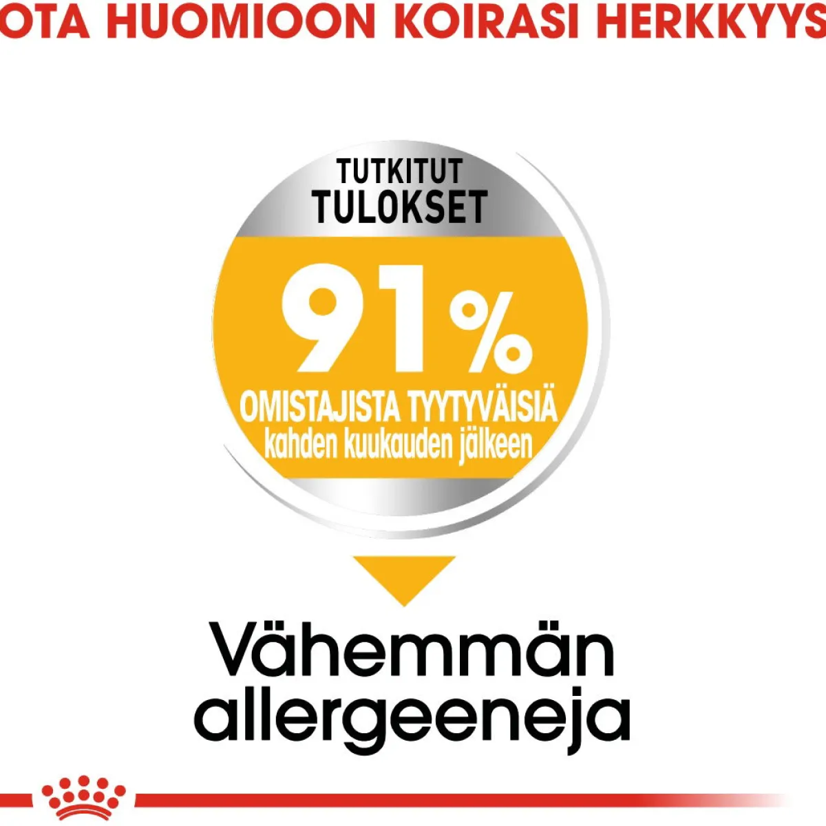 Royal Canin Koiranruoat Erityistapeisiin|Koiran Kuivaruoka*Mini Dermacomfort