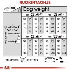 Royal Canin Koiran Kuivaruoka*Mini Digestive Care