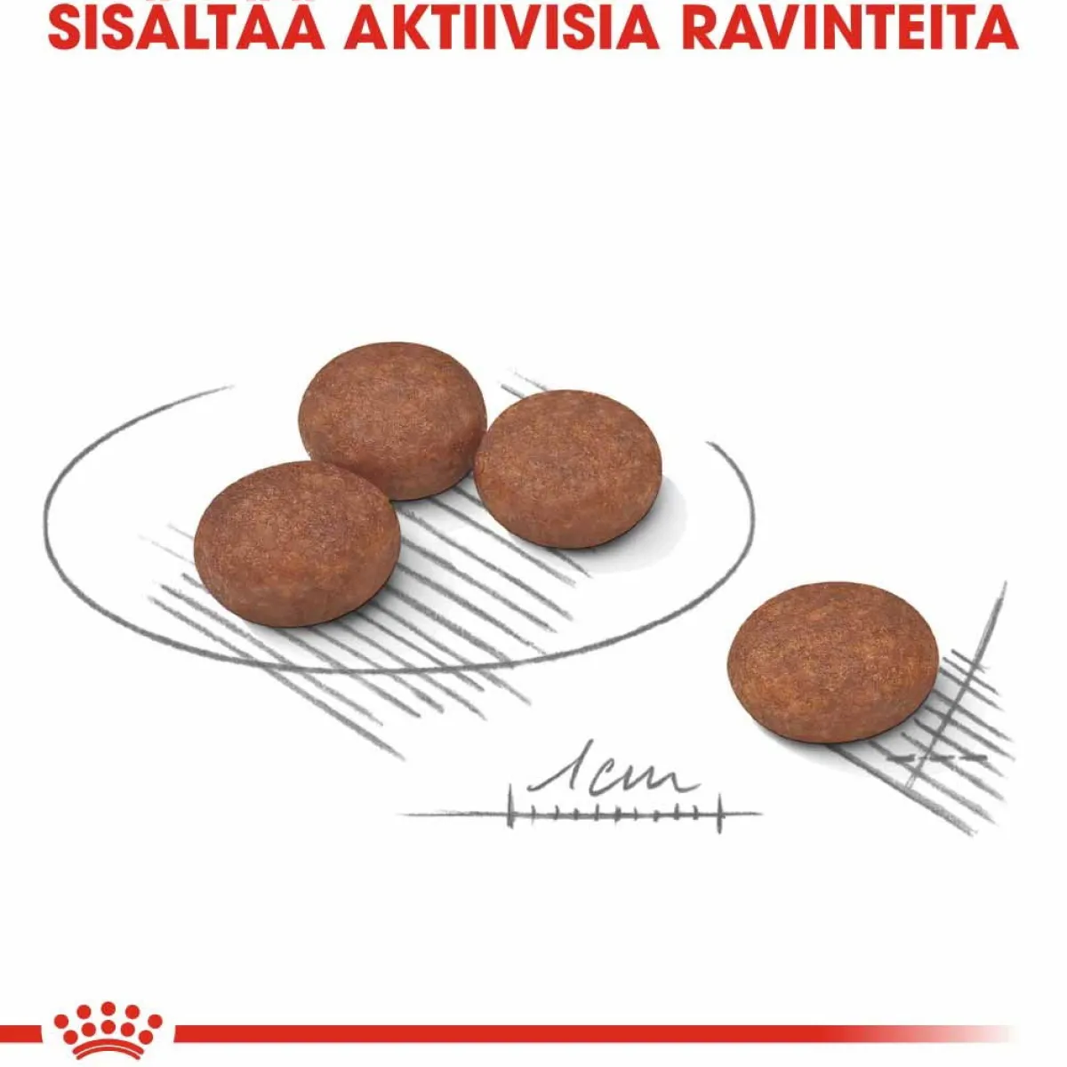 Royal Canin Koiran Kuivaruoka*Mini Digestive Care
