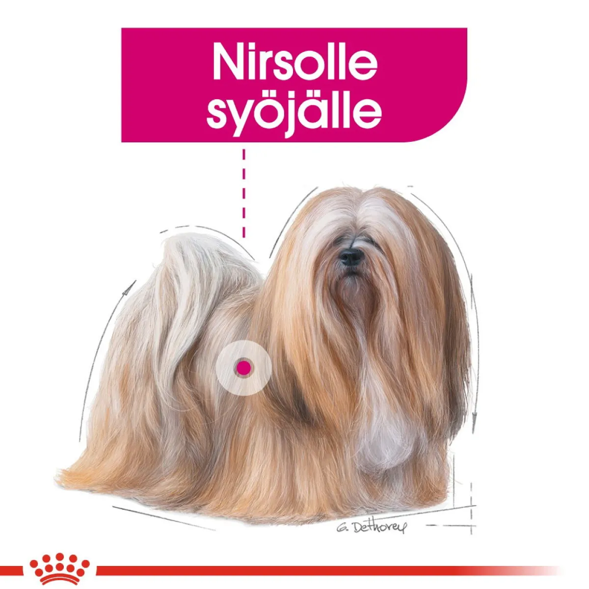 Royal Canin Koiran Kuivaruoka*Mini Exigent