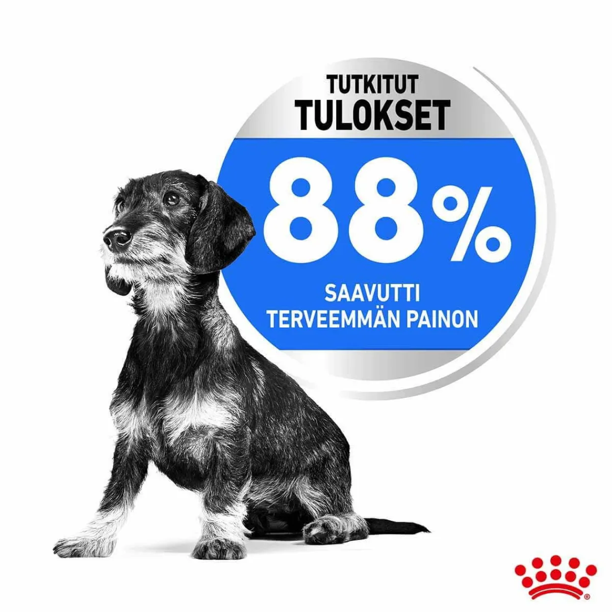 Royal Canin Koiranruoat Erityistapeisiin|Koiran Kuivaruoka*Mini Light Weight Care