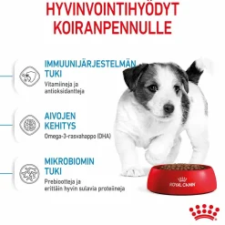 Royal Canin Penturuoka|Koiran Kuivaruoka*Mini Puppy