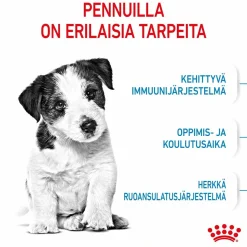Royal Canin Penturuoka|Koiran Kuivaruoka*Mini Puppy