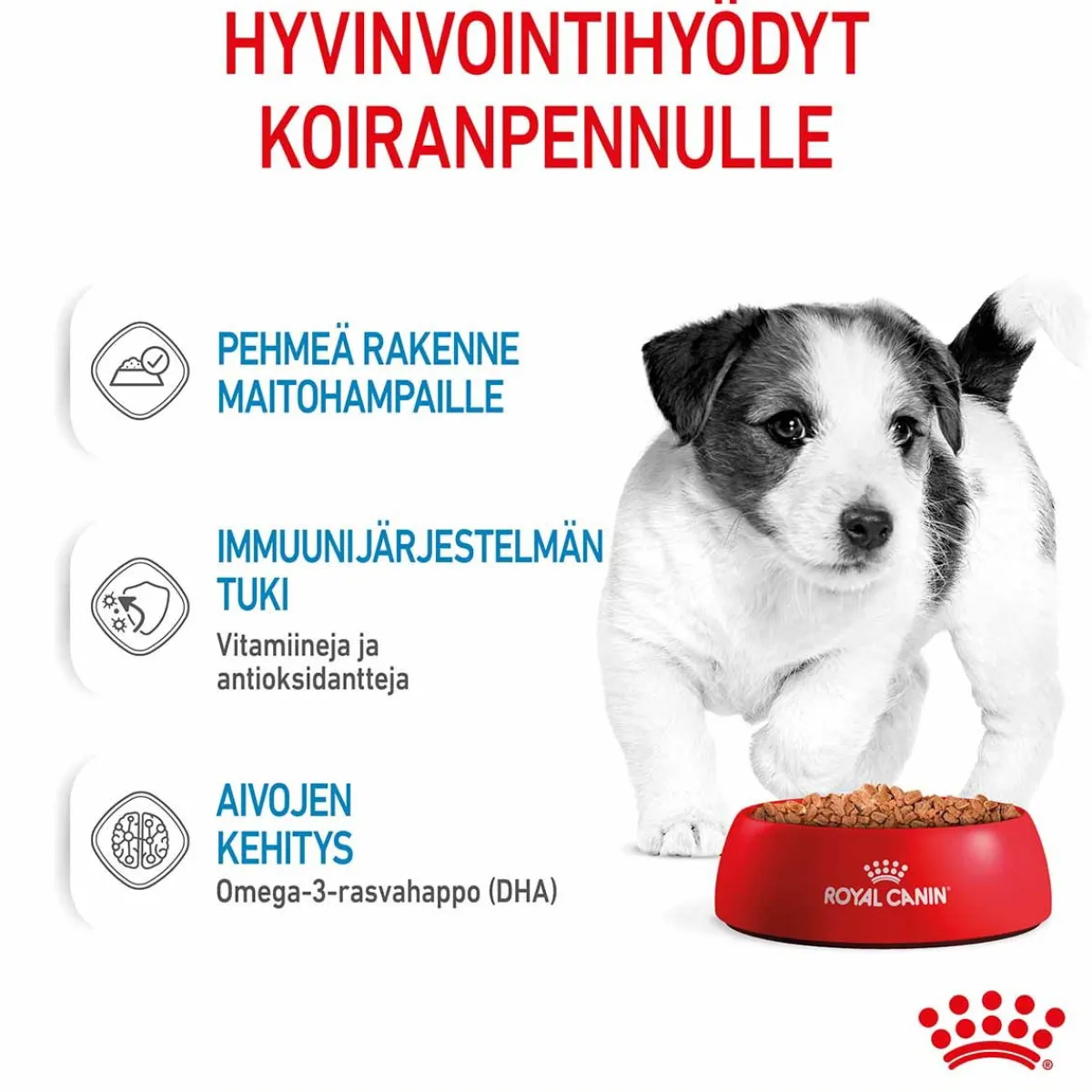 Royal Canin Penturuoka|Penturuoka*Mini Puppy Wet 12 x 85 g