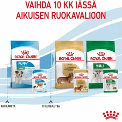 Royal Canin Penturuoka|Penturuoka*Mini Puppy Wet 12 x 85 g
