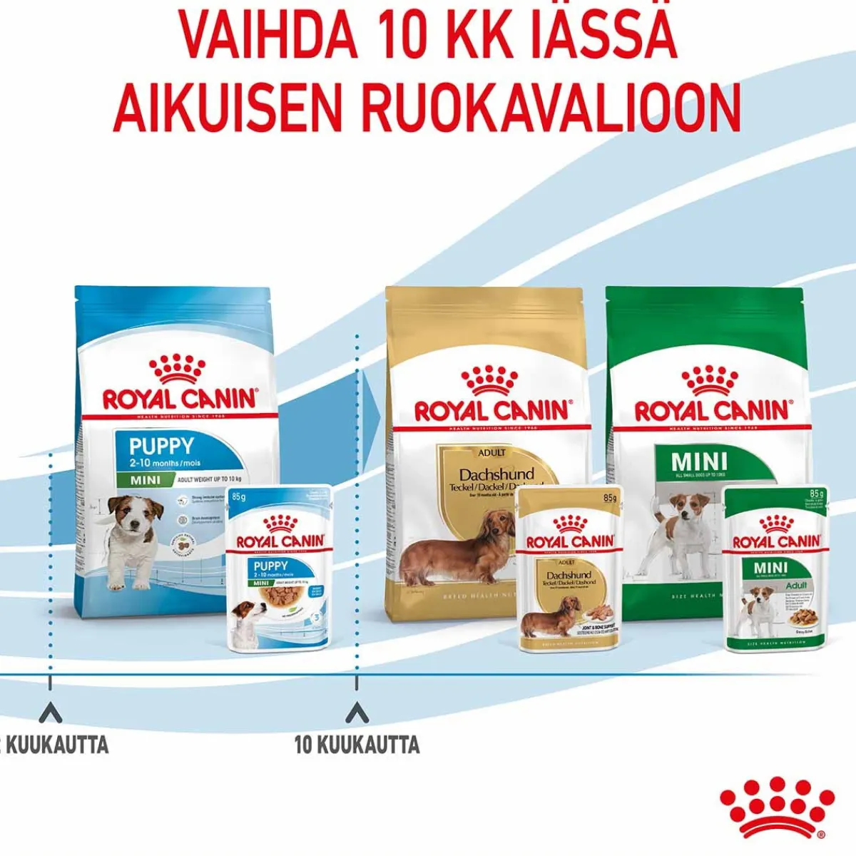Royal Canin Penturuoka|Penturuoka*Mini Puppy Wet 12 x 85 g