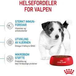 Royal Canin Koiran Kuivaruoka*Mini Puppy 2 x 8kg