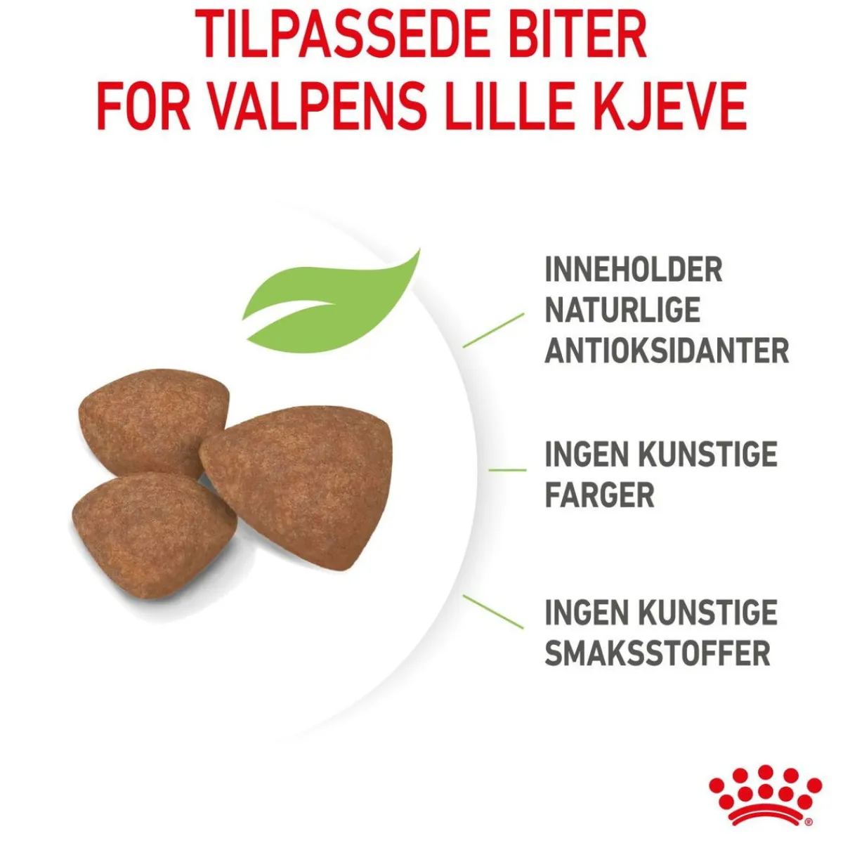 Royal Canin Koiran Kuivaruoka*Mini Puppy 2 x 8kg