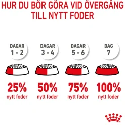 Royal Canin Koiran Kuivaruoka*Mini Puppy 2 x 8kg