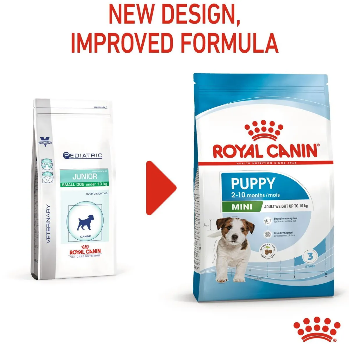 Royal Canin Koiran Kuivaruoka*Mini Puppy 2 x 8kg