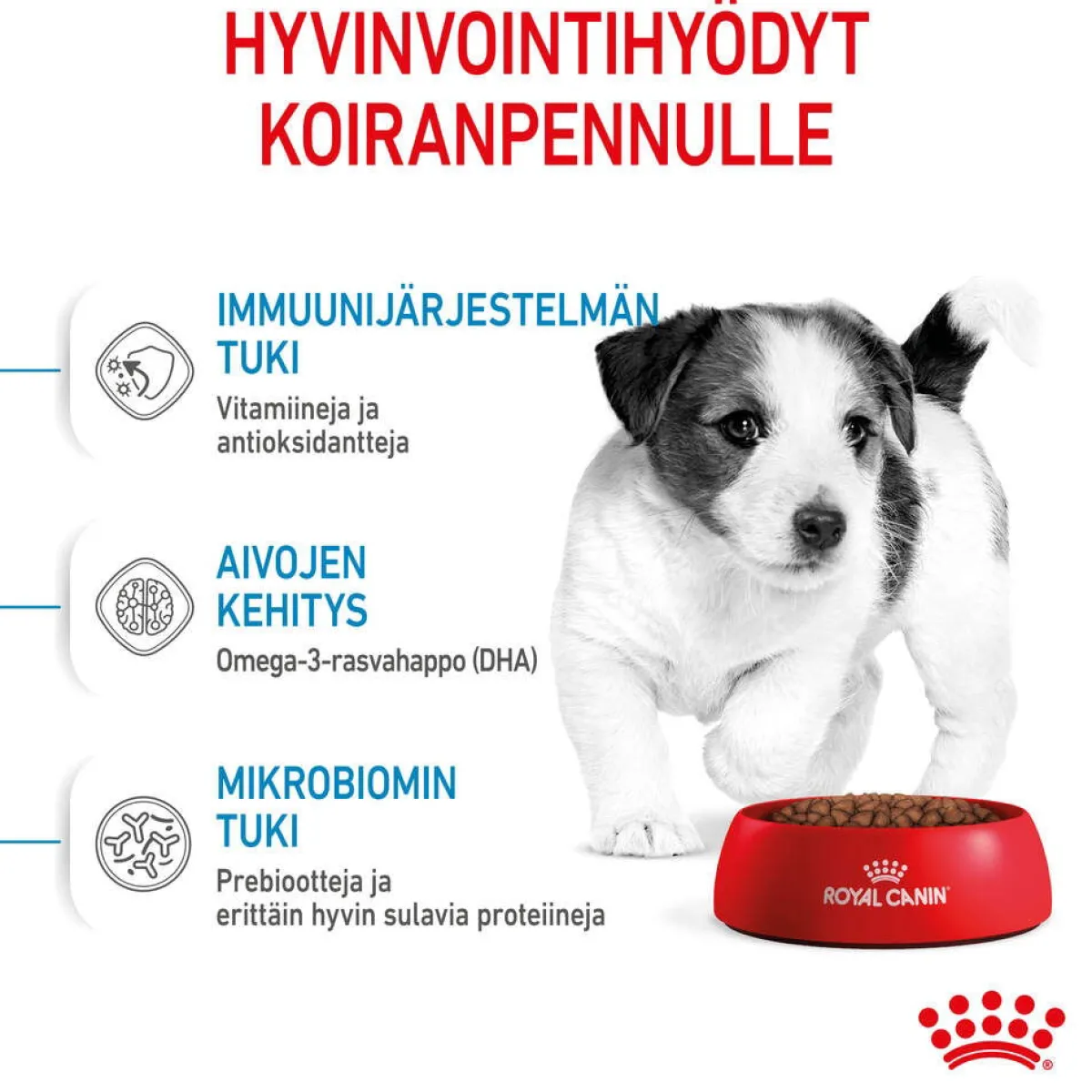 Royal Canin Koiran Kuivaruoka*Mini Puppy 2 x 8kg