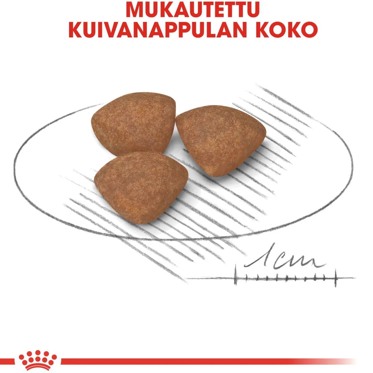 Royal Canin Koiran Kuivaruoka*Mini Puppy 2 x 8kg