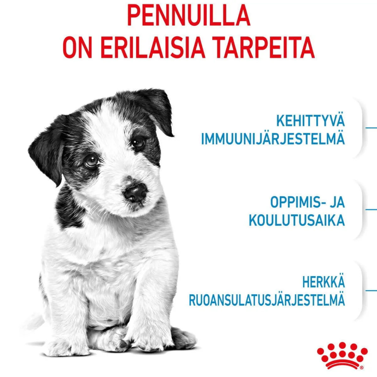 Royal Canin Koiran Kuivaruoka*Mini Puppy 2 x 8kg