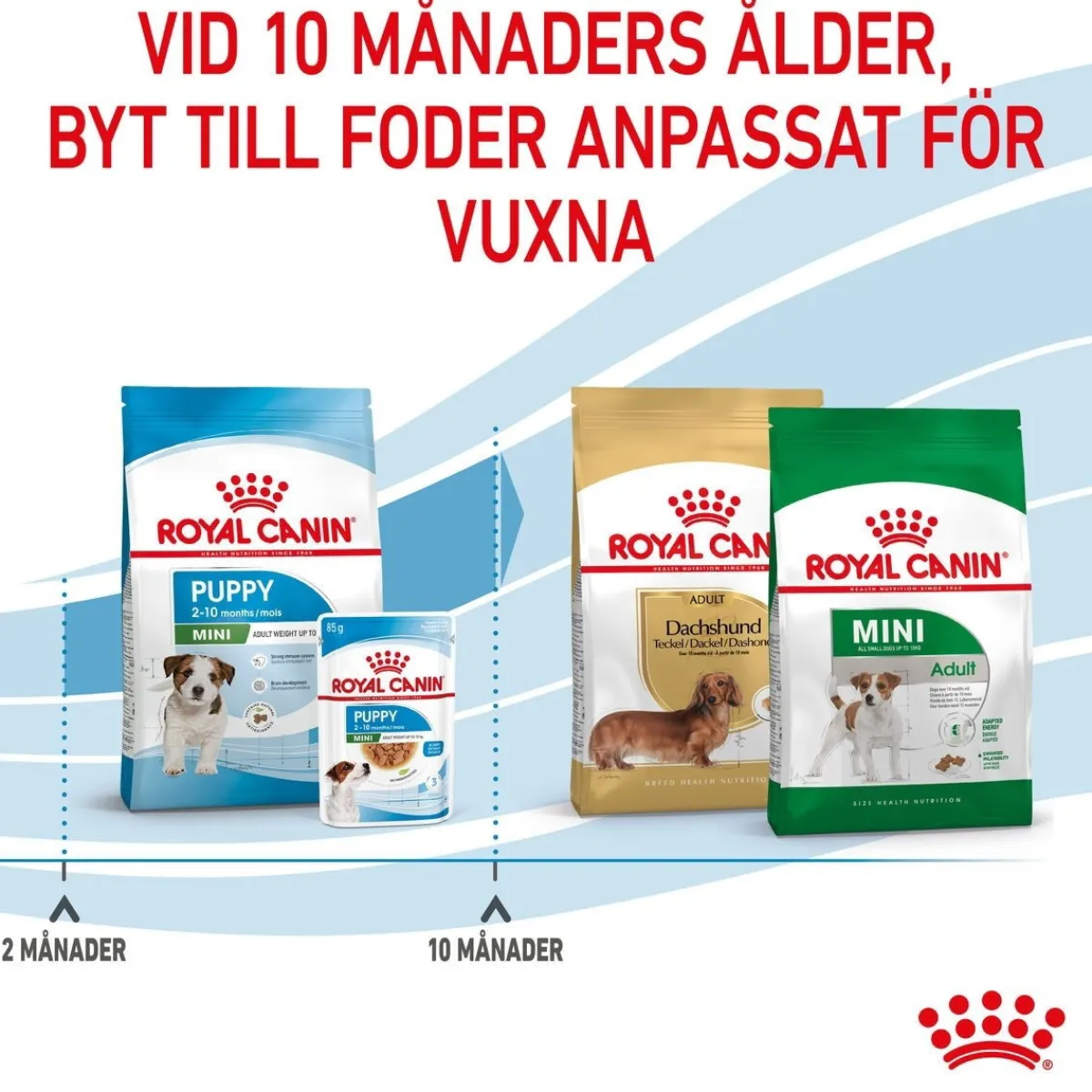 Royal Canin Koiran Kuivaruoka*Mini Puppy 2 x 8kg