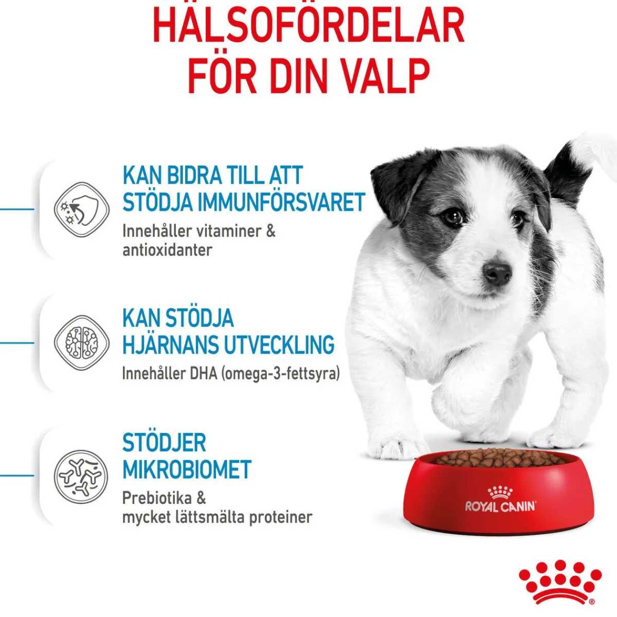 Royal Canin Koiran Kuivaruoka*Mini Puppy 2 x 8kg