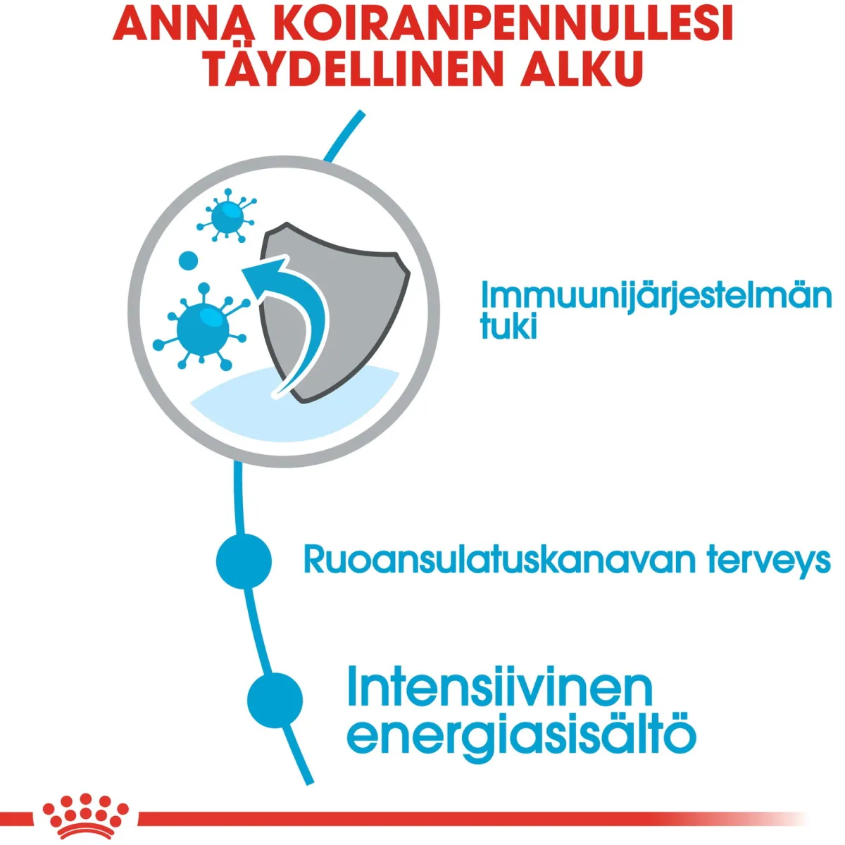 Royal Canin Koiran Kuivaruoka*Mini Puppy 2 x 8kg