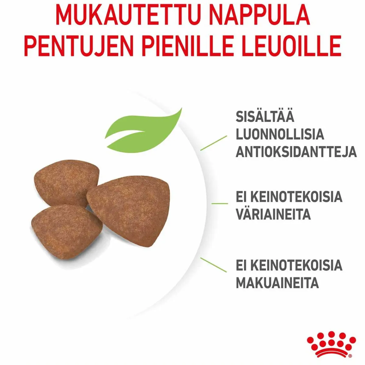 Royal Canin Koiran Kuivaruoka*Mini Puppy 2 x 8kg