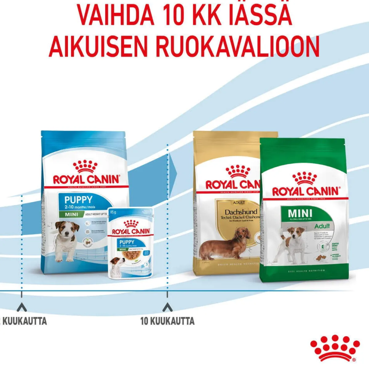 Royal Canin Koiran Kuivaruoka*Mini Puppy 2 x 8kg