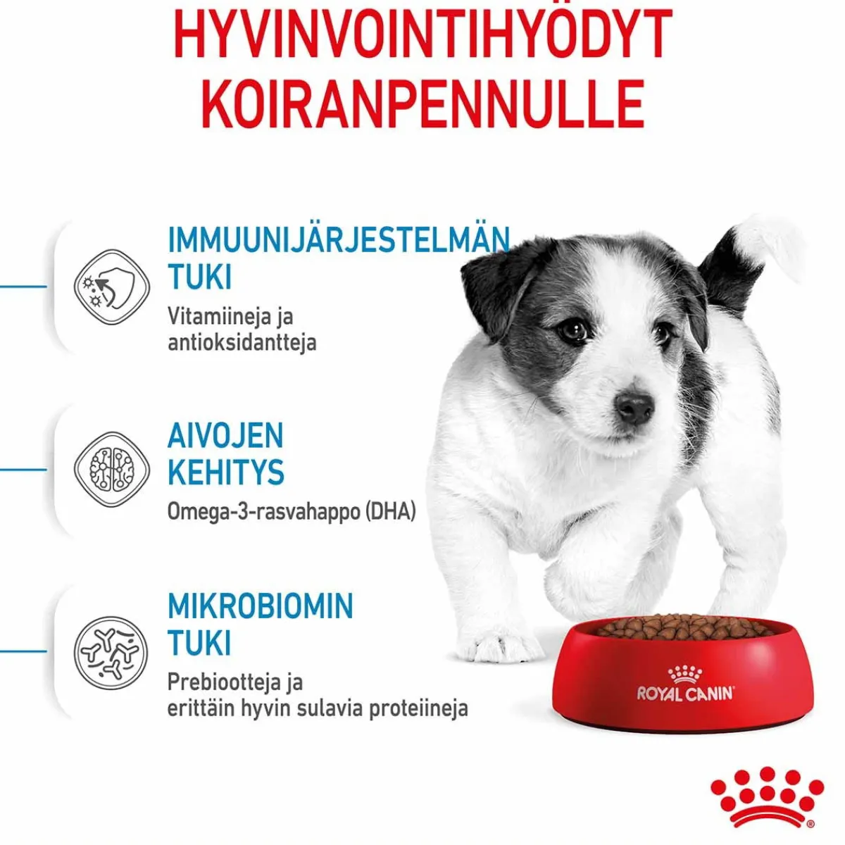 Royal Canin Koiran Kuivaruoka*Mini Puppy 2 x 8kg