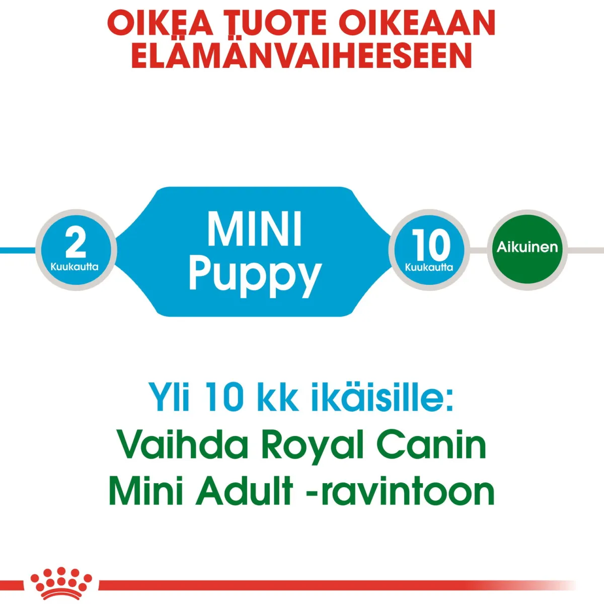 Royal Canin Koiran Kuivaruoka*Mini Puppy 2 x 8kg