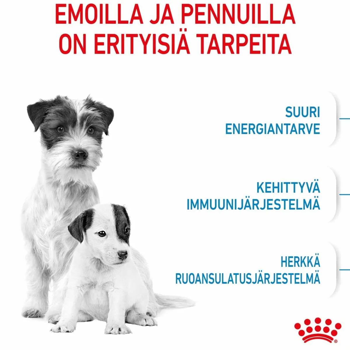 Royal Canin Penturuoka|Koiran Kuivaruoka*Mini Starter