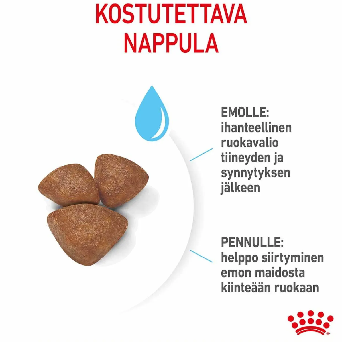 Royal Canin Penturuoka|Koiran Kuivaruoka*Mini Starter