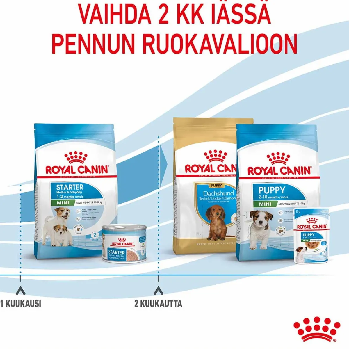 Royal Canin Penturuoka|Koiran Kuivaruoka*Mini Starter