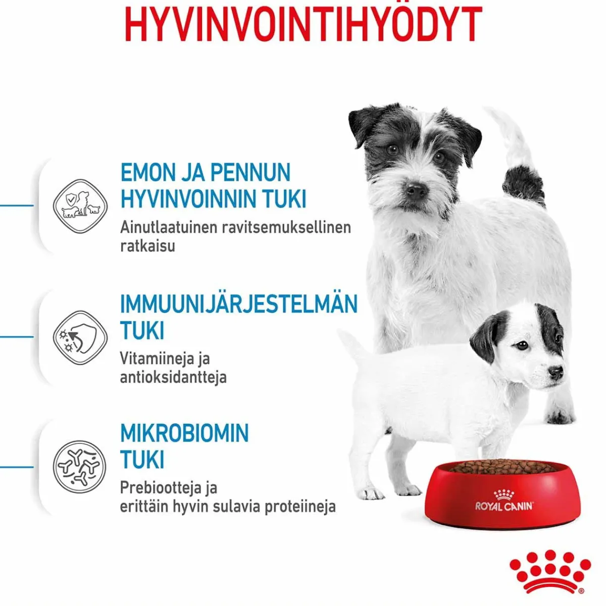 Royal Canin Penturuoka|Koiran Kuivaruoka*Mini Starter
