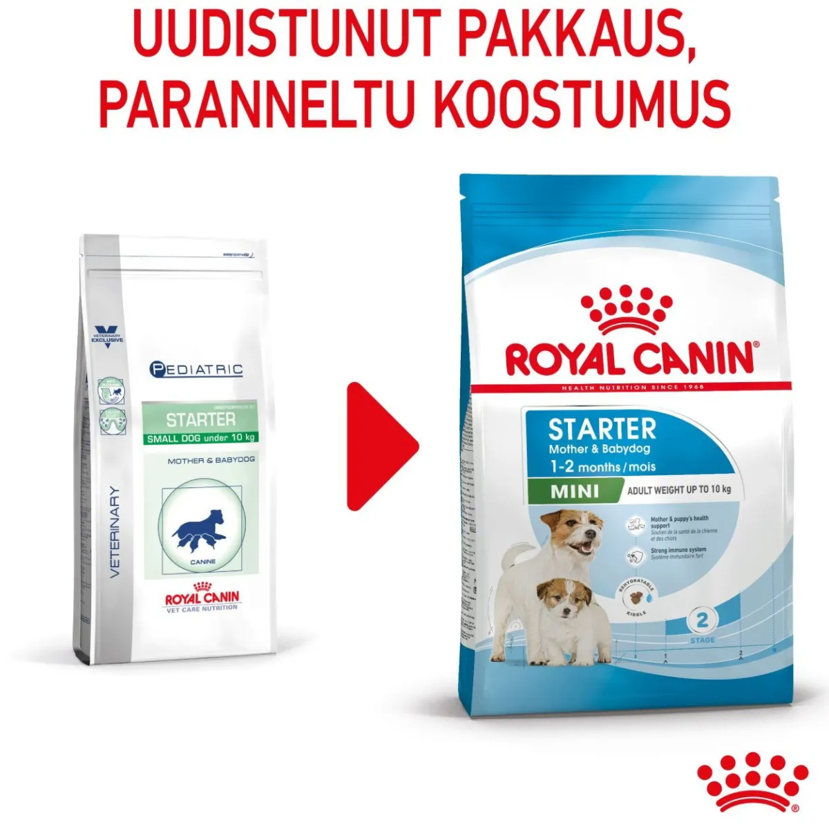 Royal Canin Penturuoka|Koiran Kuivaruoka*Mini Starter