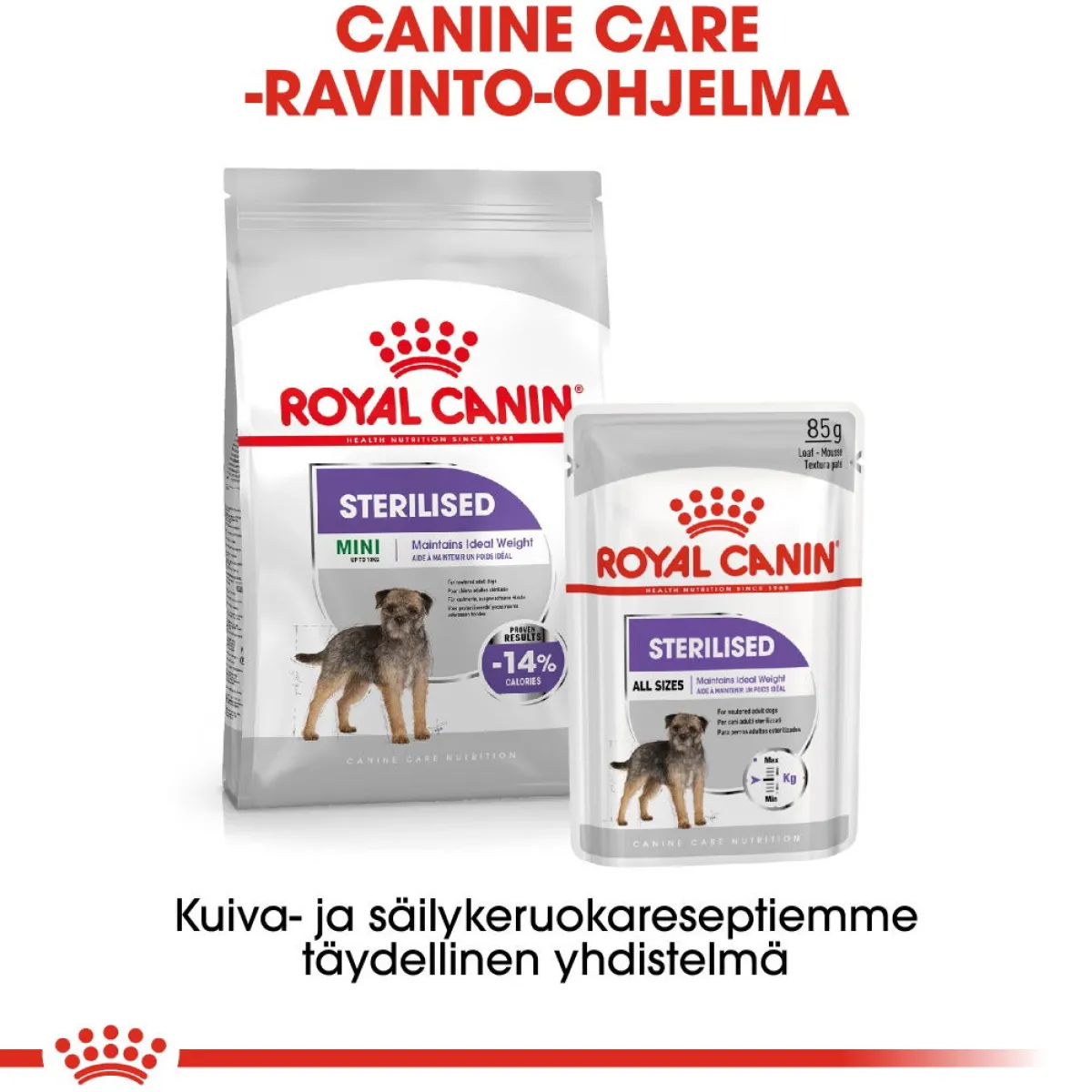 Royal Canin Koiranruoat Erityistapeisiin|Koiran Kuivaruoka*Mini Sterilised