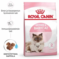 Royal Canin Kissanpennun Ruoka|Kissan Kuivaruoka*Mother & Babycat