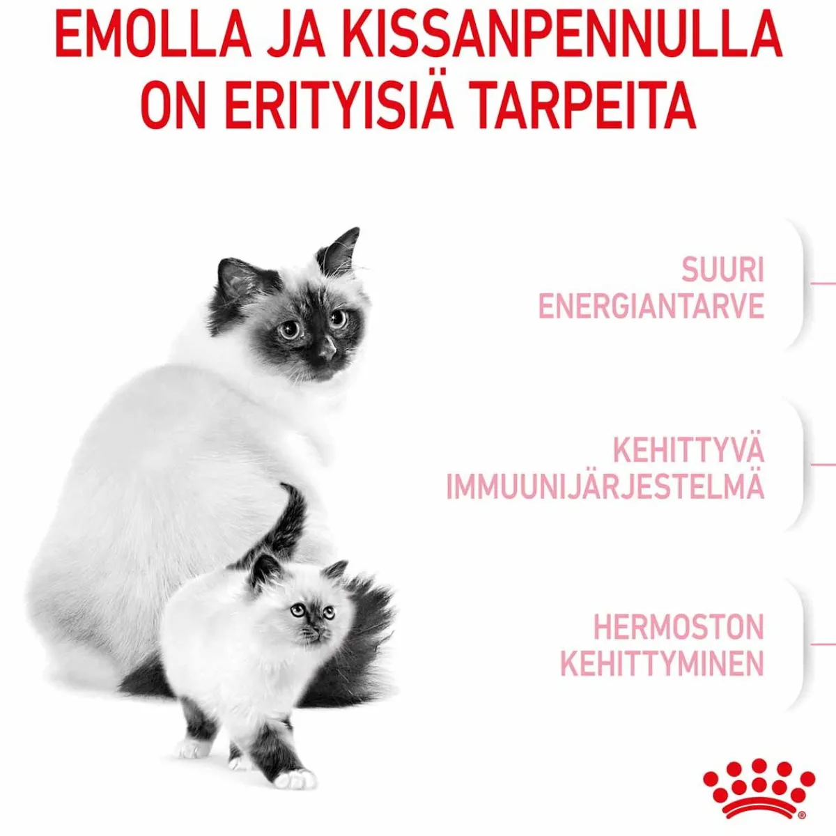 Royal Canin Kissanpennun Ruoka|Kissan Kuivaruoka*Mother & Babycat