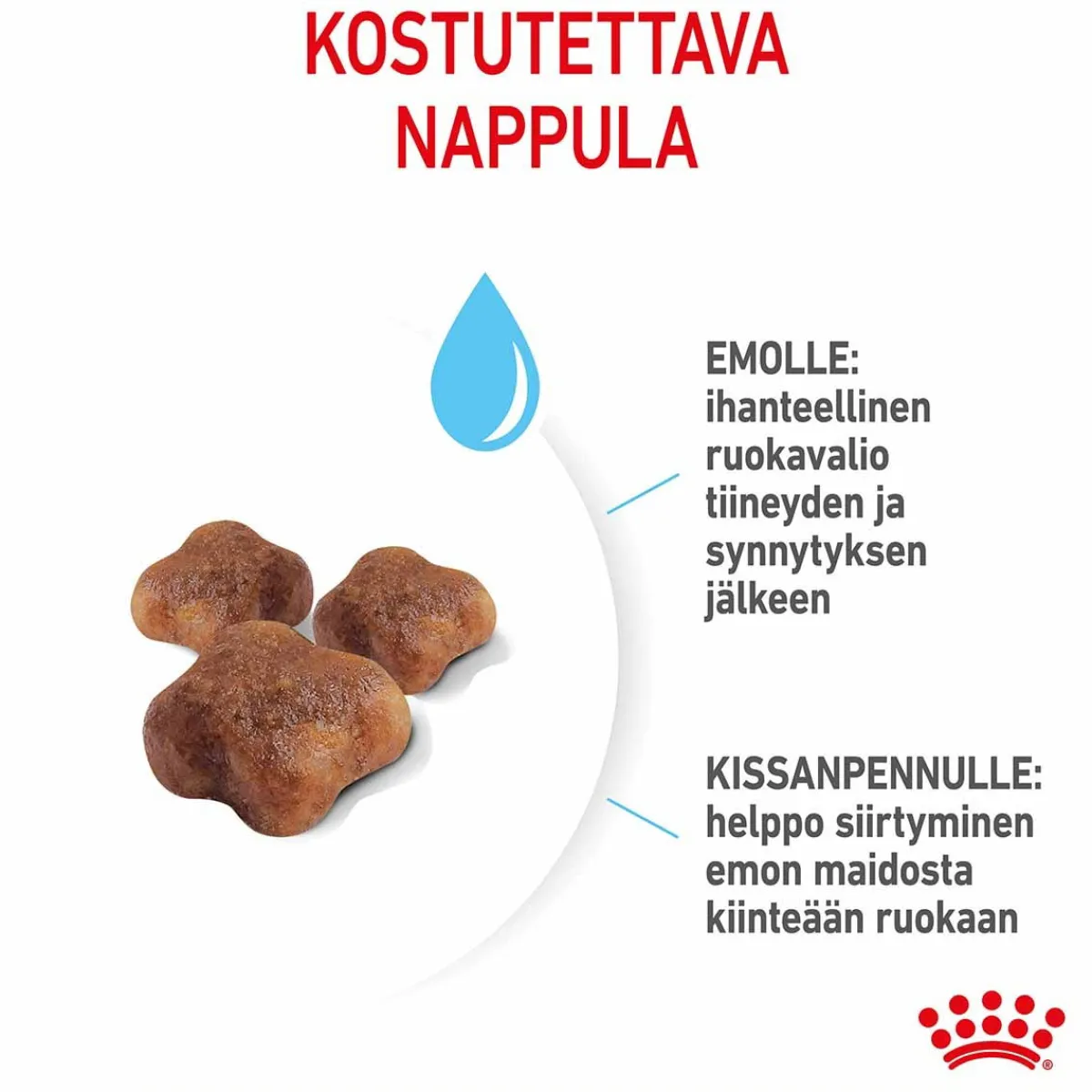 Royal Canin Kissanpennun Ruoka|Kissan Kuivaruoka*Mother & Babycat