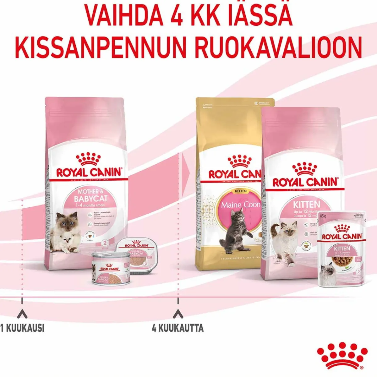 Royal Canin Kissanpennun Ruoka|Kissan Kuivaruoka*Mother & Babycat