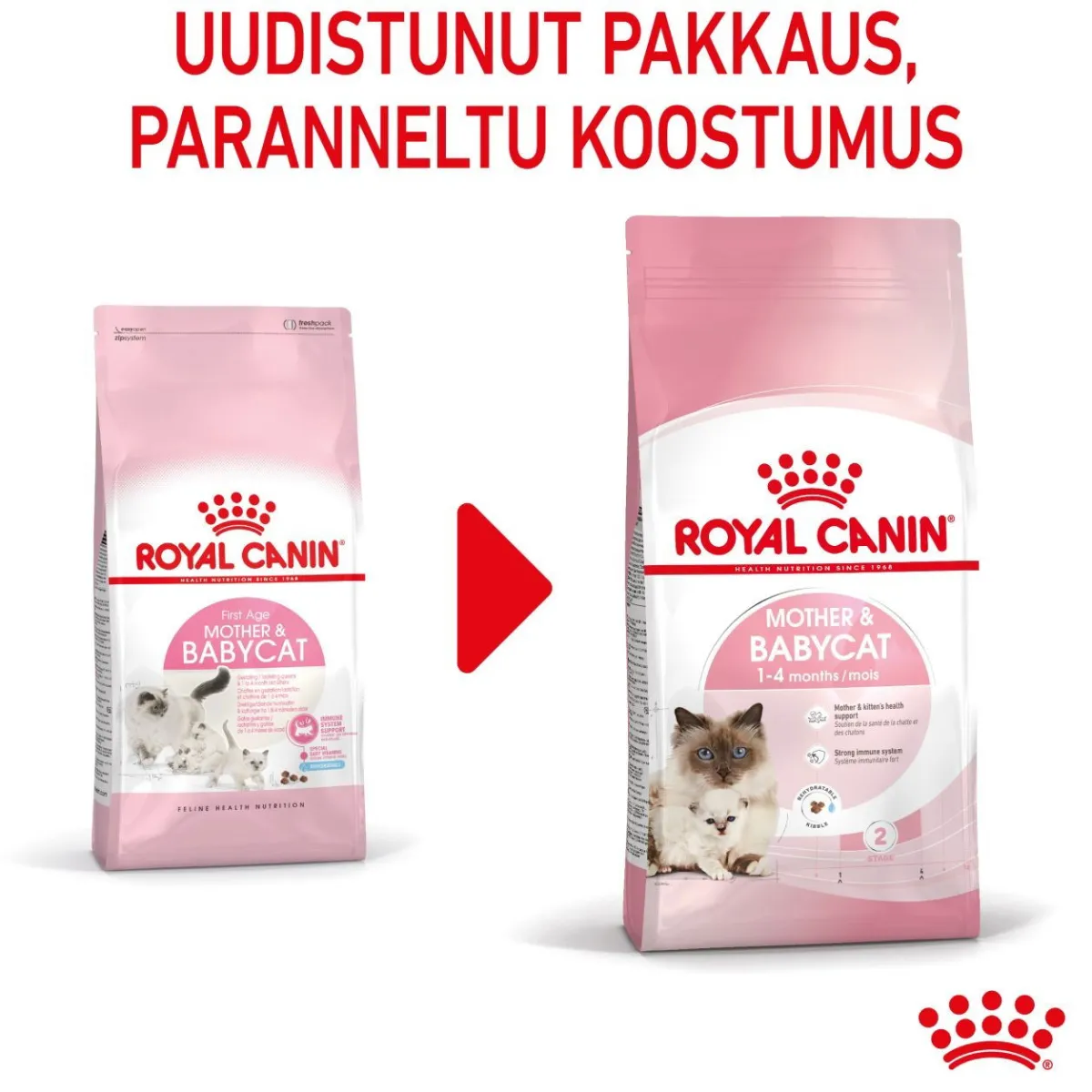 Royal Canin Kissanpennun Ruoka|Kissan Kuivaruoka*Mother & Babycat